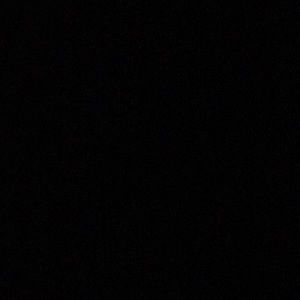 Meet your Posher, Camryn